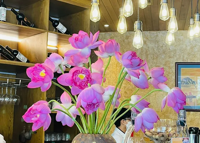 Draha - Serenity, Charm And Nature - Preferred By Western Travelers Hotel Hạ Long